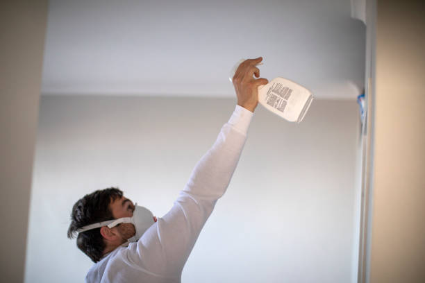 Best Mold Remediation for Specific Building Types in Soh Willard, UT